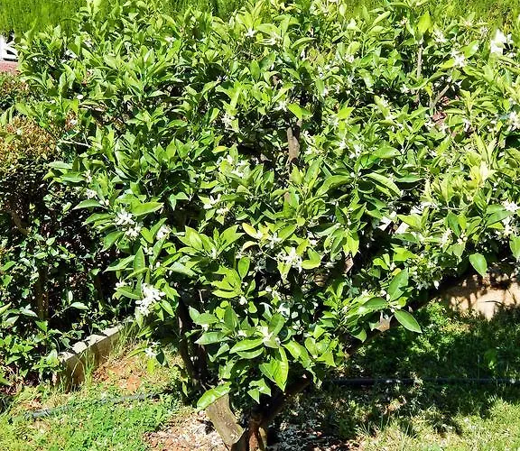 דירה Saric Sukošan